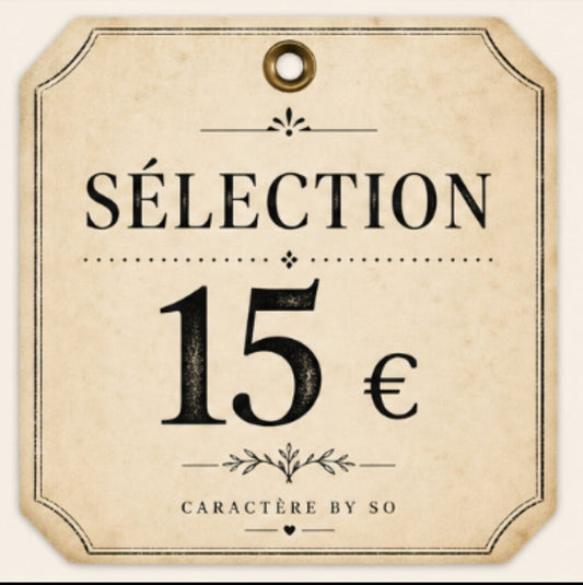 Article à 15€